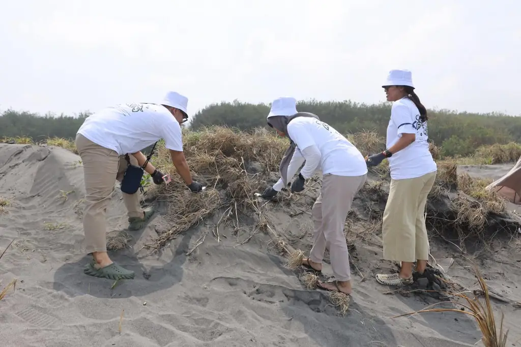 Penyu-lamat 2025: Aksi Sukarelawan Karyawan Telkom 